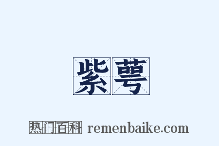 紫萼是什么意思的图片